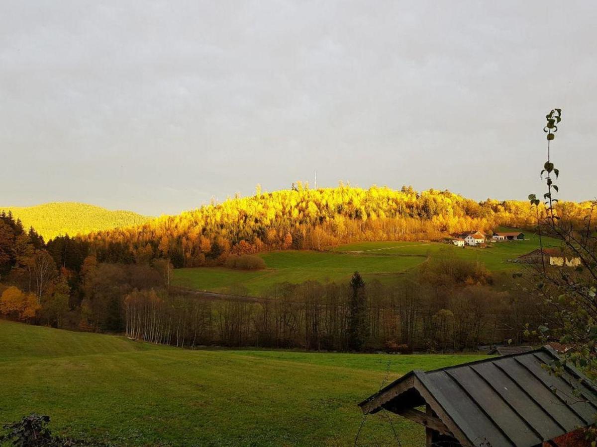 Haus Am Osterbruennl Apartment Ruhmannsfelden Bagian luar foto